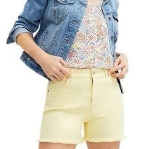 Loft High Waisted Shorts 12